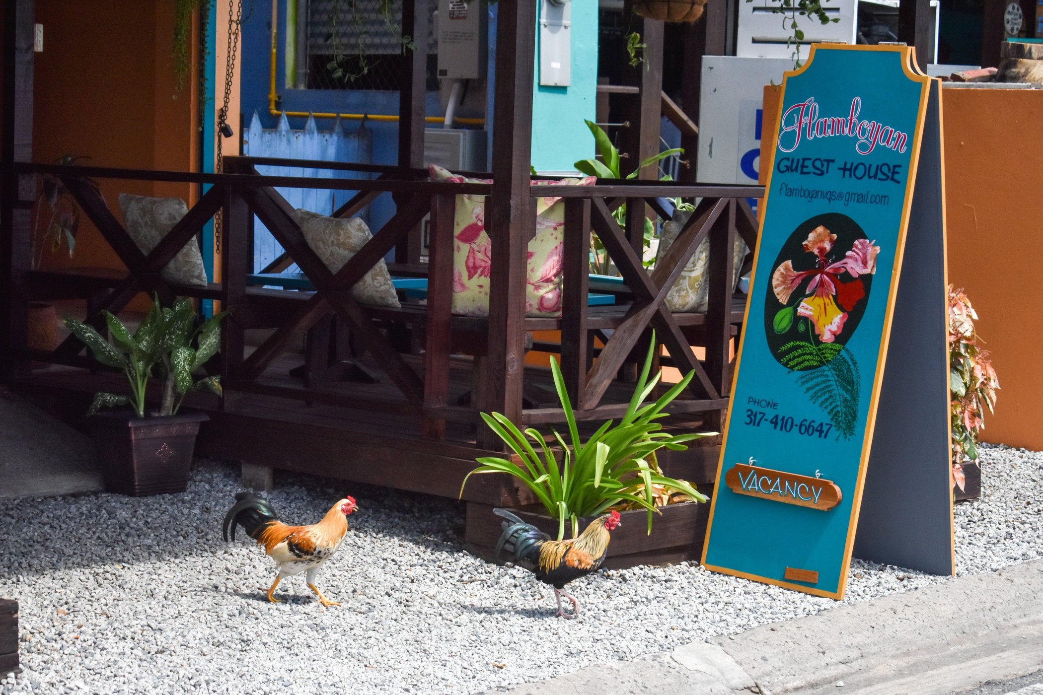 Flamboyan Guesthouse by null