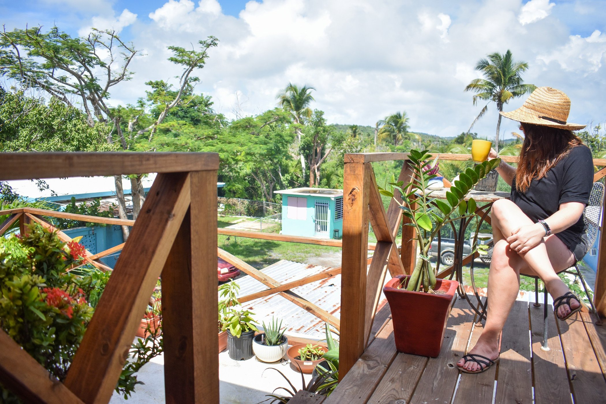 Flamboyan Guesthouse by null