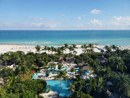 THE PALMS HOTEL & SPA - Updated 2024 Prices & Reviews (Miami Beach, FL)