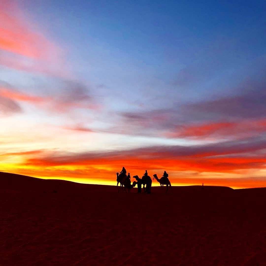 Deserto com areia movediça - Avaliações de viajantes - Wadi Araba Desert -  Tripadvisor