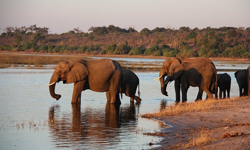 Se desiderate incontrare: natura selvaggia, panorami incredibili ed animali come in un documentario, non dovreste rimandare oltre e organizzare al più presto un Safari in tenda in Botswana. A breve verrà pubblicato un nuovo articolo sul nostro Blog.