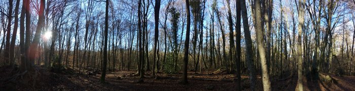 Imagen 4 de La Fageda d'en Jordà