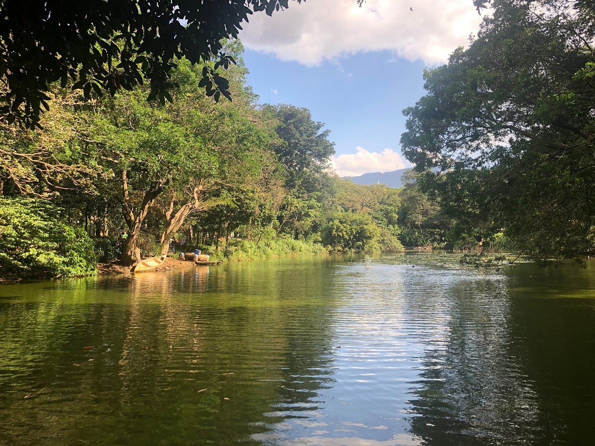 Scope da giardino — jardineriadelvalles