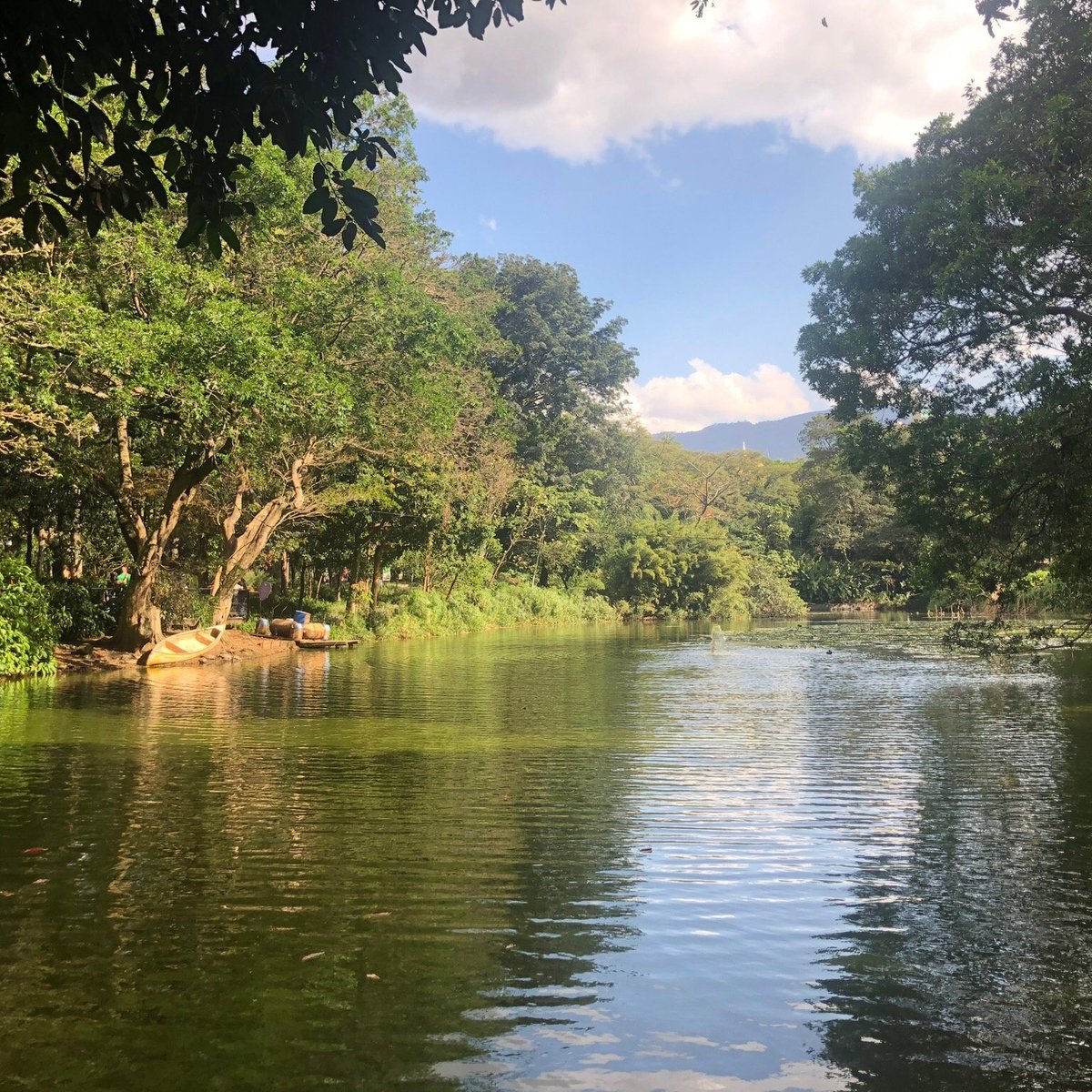 Jardín Botánico de Medellín, Медельин: лучшие советы перед посещением -  Tripadvisor