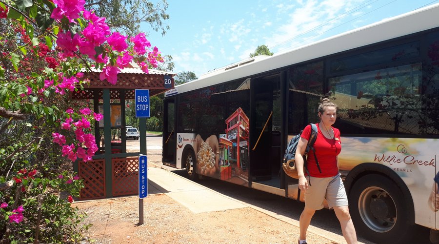 The BE Bus travelling through Cable Beach, this photo shows the vibrant colours of the bouganvillea which grows all over BRoome