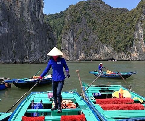 vietnam travel bug day tours