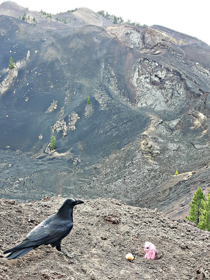 Imagen 3 de Ruta de Los Volcanes