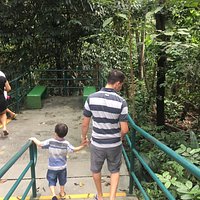 Lugar maravilhoso e com muita diversidade cultural da região amazônica. História, animais, diversidade biológica e uma imensa área geográfica com uma diversidade de flora e fauna.