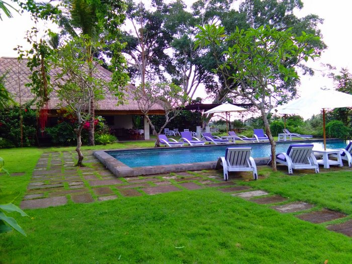 The Hidden Paradise Ubud Pool: Pictures & Reviews - Tripadvisor