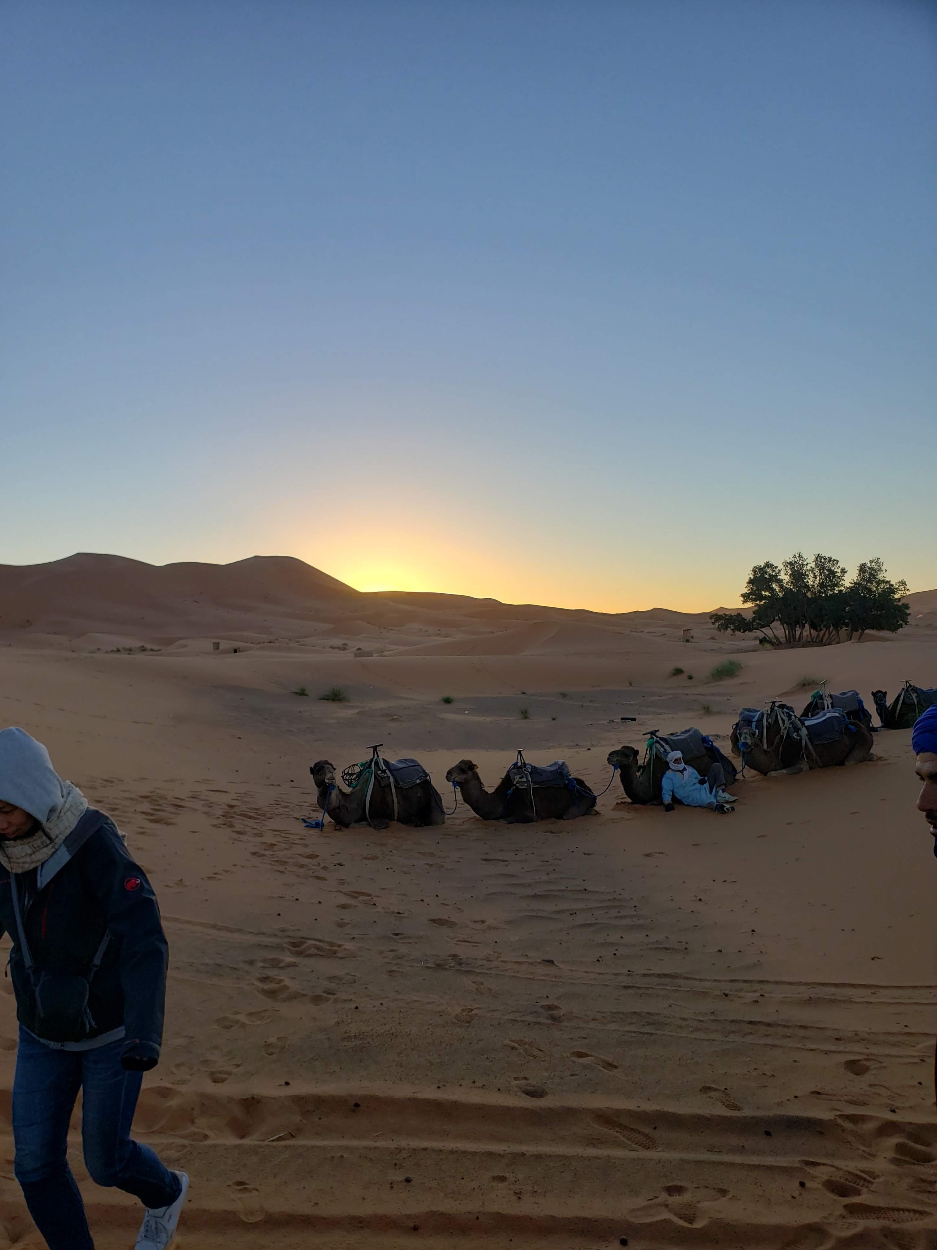 Circuit Desert Maroc (Essaouira) - 2022 Lohnt Es Sich? (Mit Fotos)