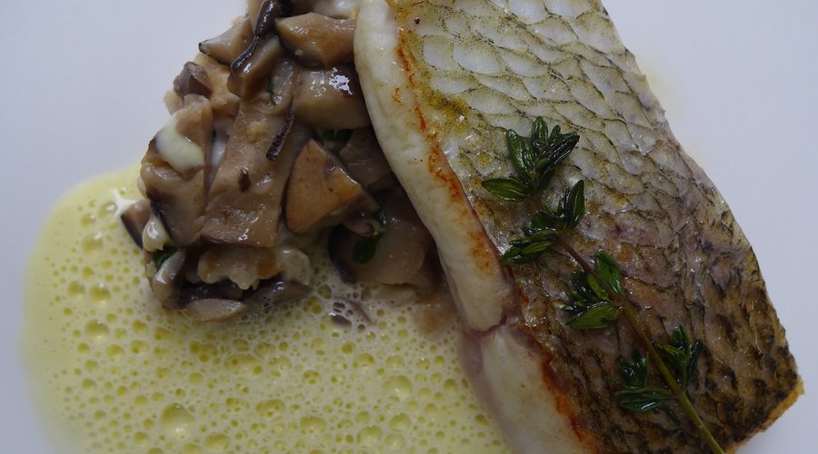 Filet de féra du Léman