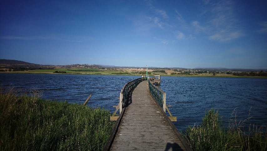 Tamar Island Wetlands - All You Need to Know BEFORE You Go (2025)