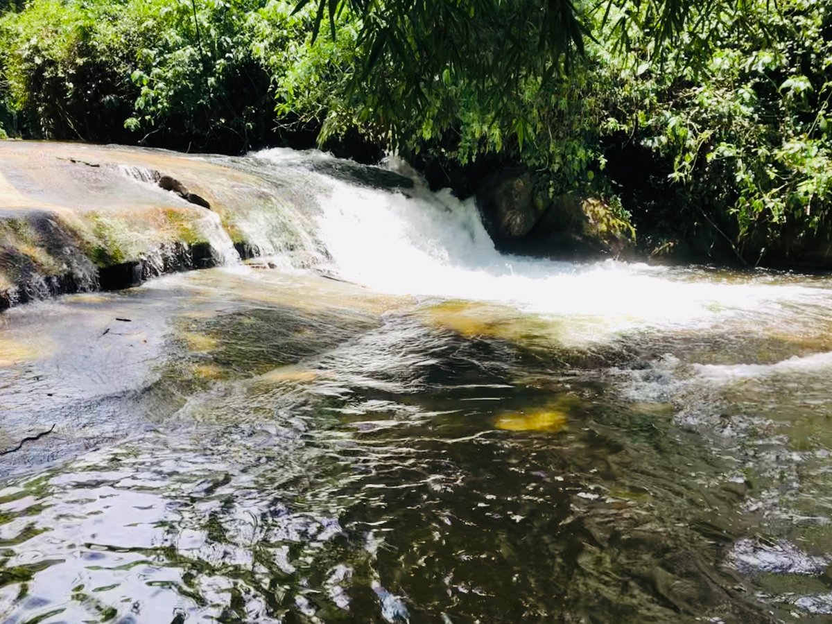 Cachoeira do Sertão - Morro Mata Cavalo: 0 Reviews, Map - Rio de Janeiro,  Brazil