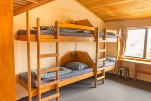 Room & Suite