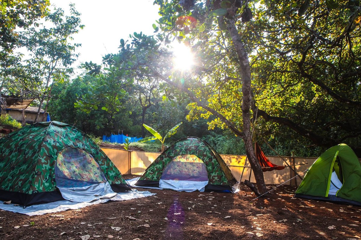 Credo Jungle Resort - Agonda Rooms: Pictures & Reviews Credo Jungle Resort - Agonda Rooms: Pictures & Reviews - Tripadvisor
