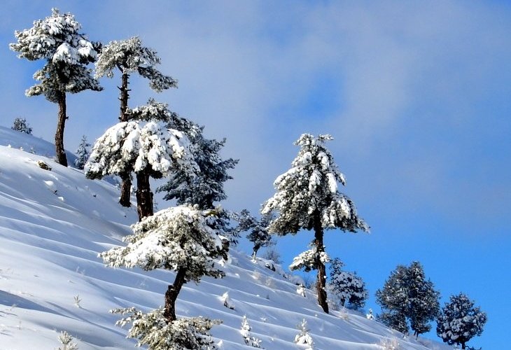 Gölhisar Kibyra yakınları
Burdur