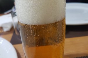 Bebidas
