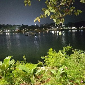 Coringa Wildlife Sanctuary (Kakinada) - All You Need to Know BEFORE You Go Coringa Wildlife Sanctuary (Kakinada) - All You Need to Know BEFORE You Go