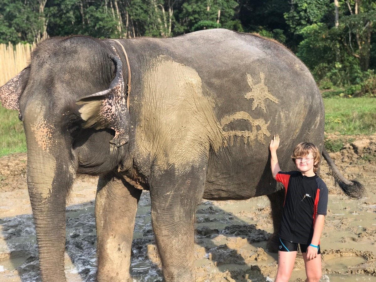 Aonang Elephant Sanctuary, Ао Нанг: лучшие советы перед посещением -  Tripadvisor