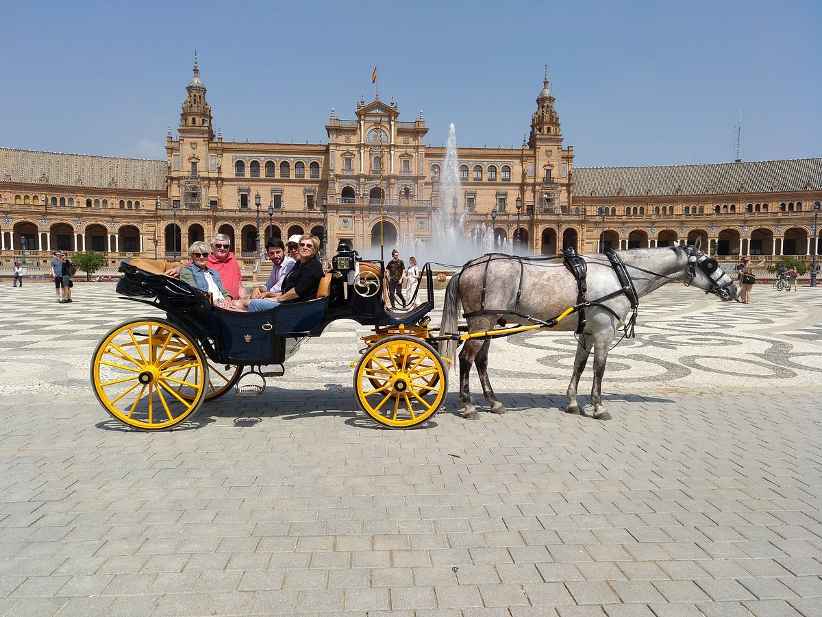 Hola Sevilla Tours (Seville) - All You Need to Know BEFORE You Go