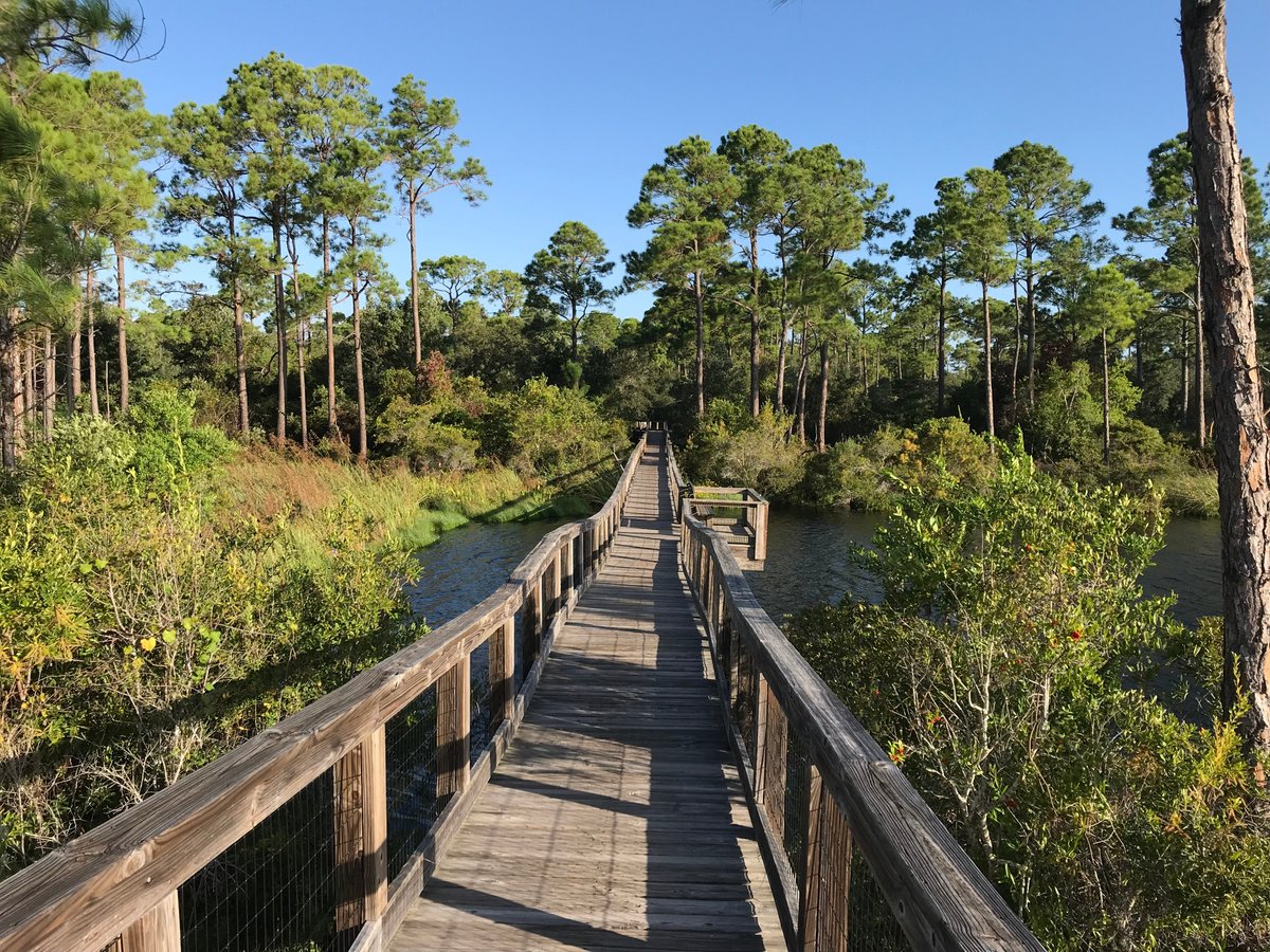 Big Lagoon State Park Campground - Reviews & Photos (pensacola, Fl 