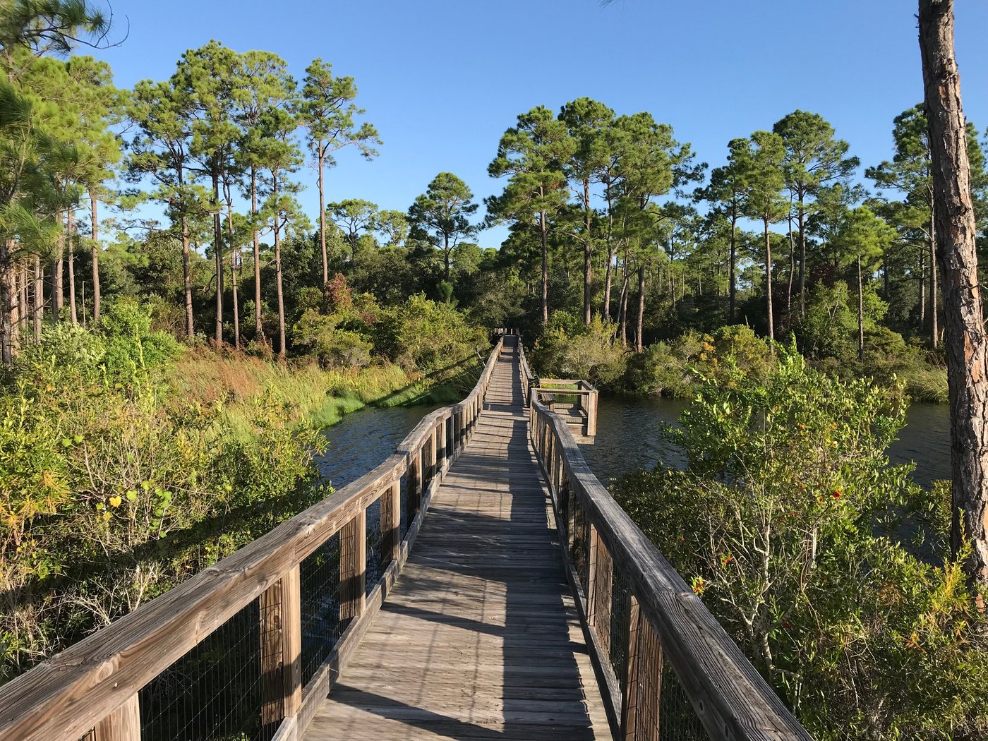 Escape to Tranquility: A Guide to Big Lagoon State Park