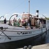Ollilepp