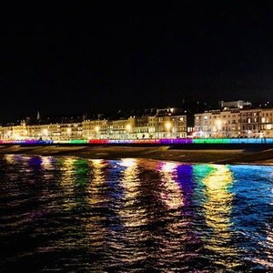 can you take dogs on hastings pier