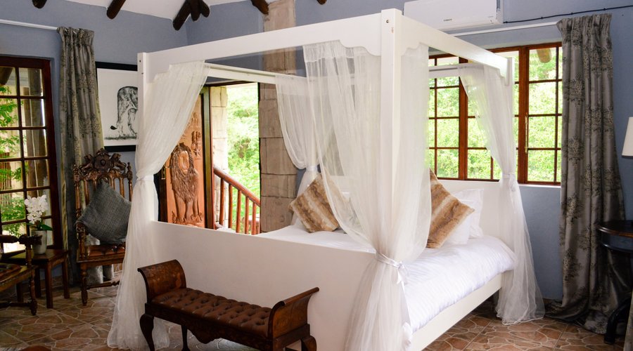 Lion Room