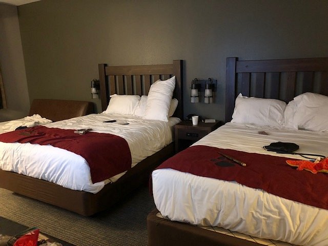 great-wolf-lodge-chicago-gurnee-il-150-2-2-2-prices-reviews