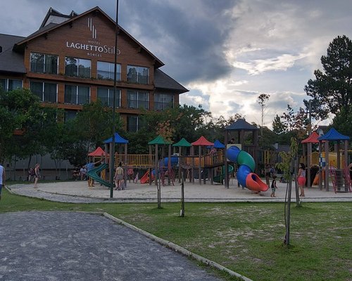 Conjunto De Jogo De Corrida De Ovo E Colher Com Gema, Jogo De Revezamento  De Gramado Ao Ar Livre Para Crianças, Brinquedo De Festa De Dia De Campo -  Temu Portugal