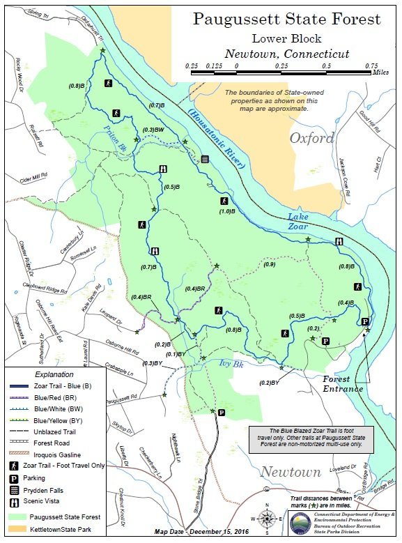 PAUGUSSETT STATE FOREST (Newtown) - All You Need to Know BEFORE You Go