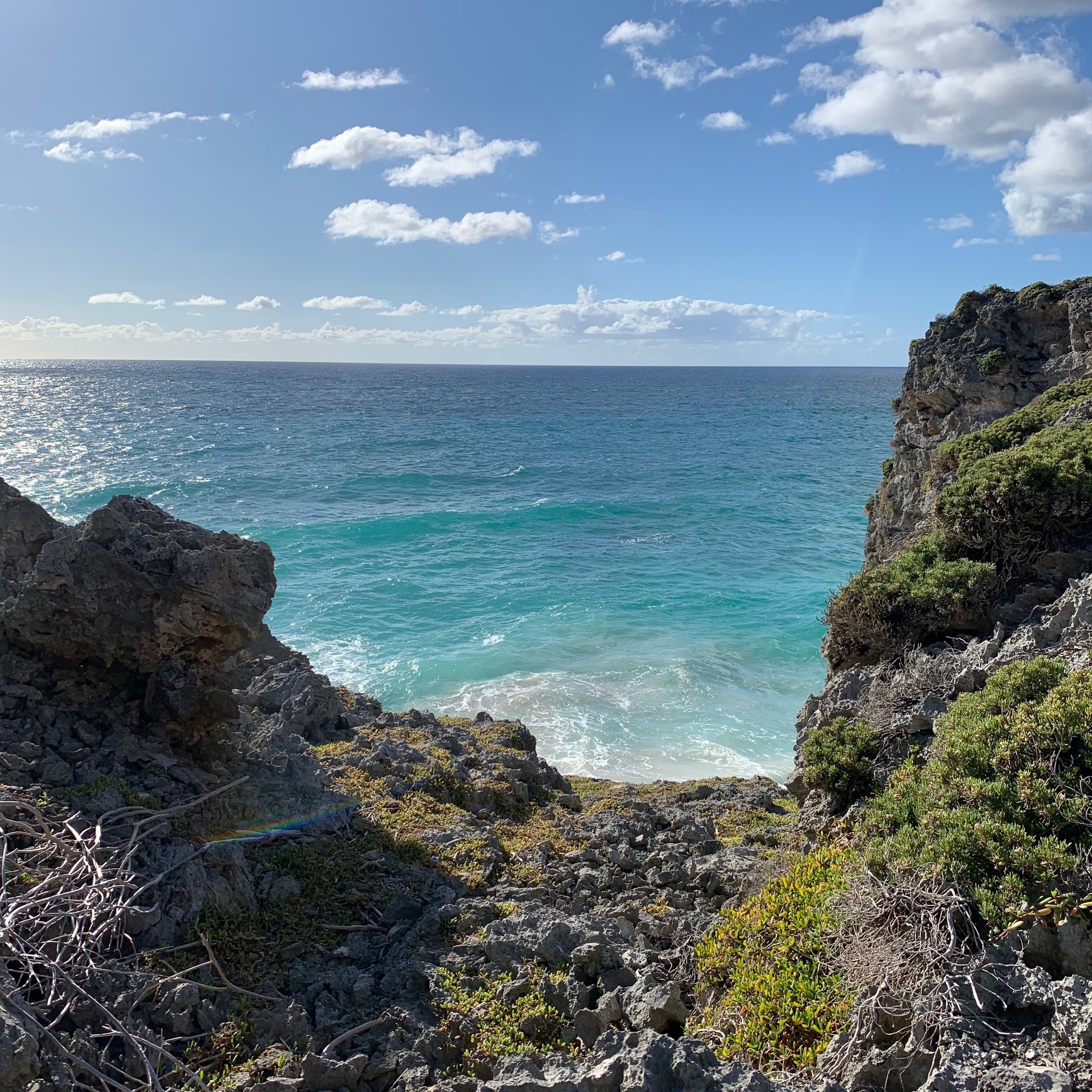 THE 15 BEST Things To Do In Barbados - 2024 (with Photos) - Tripadvisor