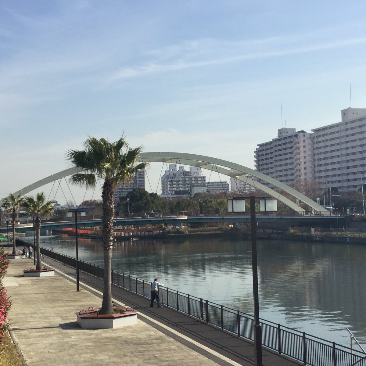 22年 新左近川親水公園 行く前に 見どころをチェック トリップアドバイザー