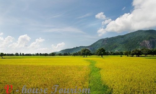 Tỉnh An Giang là một điểm đến lý tưởng cho những người yêu thiên nhiên và muốn thư giãn sau những ngày bận rộn. Hãy xem qua những bức ảnh đẹp của An Giang để cảm nhận được vẻ đẹp độc đáo của vùng đất này.