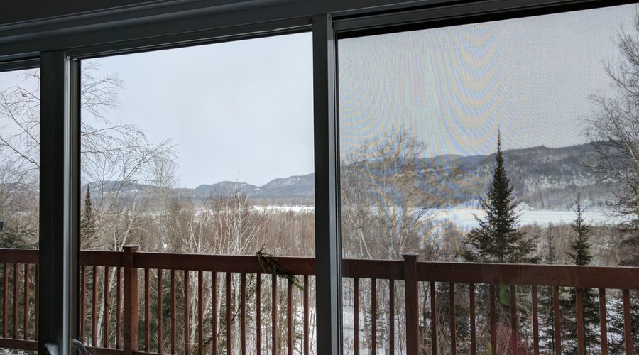 The view