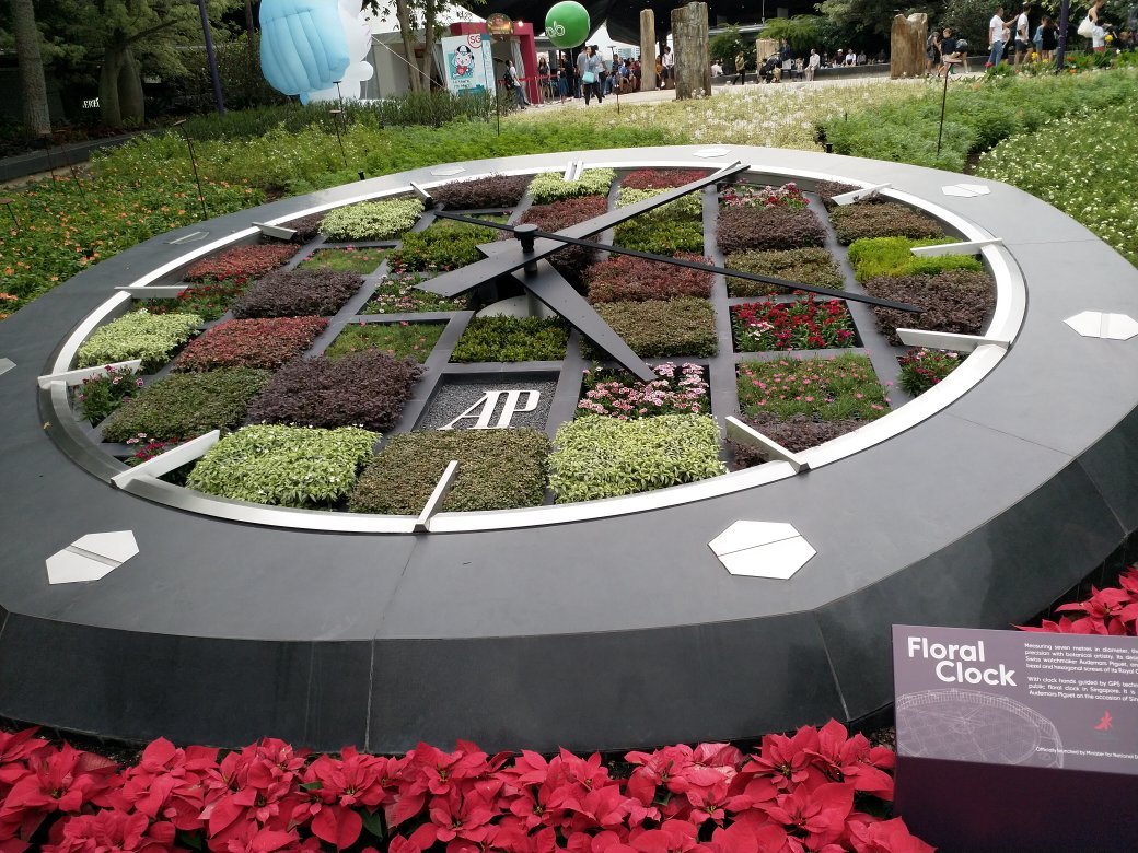 Floral Clock Singapore All You Need to Know BEFORE You Go