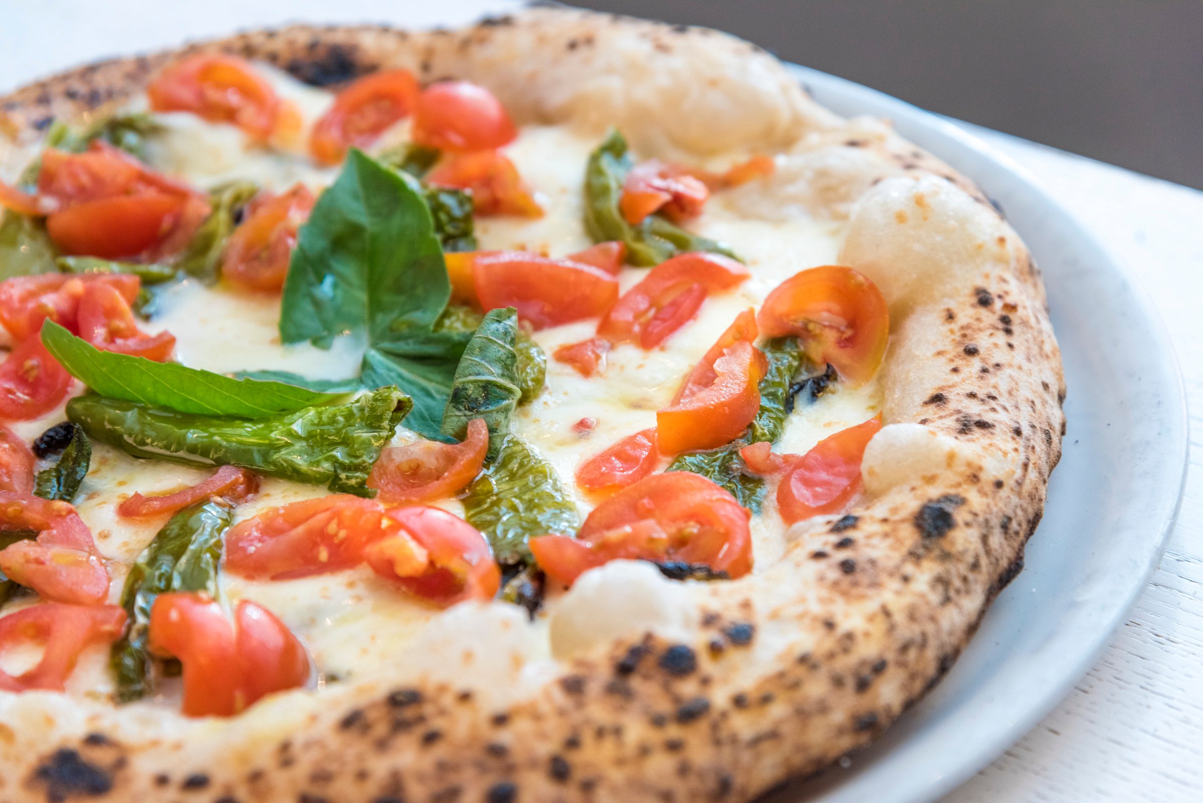 Fresco pizzeria discount