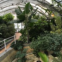 Botanicka Zahrada (Hortus Botanicus) (Brno) - All You Need to Know ...