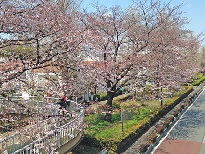 Kunitachi 21 Best Of Kunitachi Japan Tourism Tripadvisor Kunitachi 21 Best Of Kunitachi Japan Tourism Tripadvisor