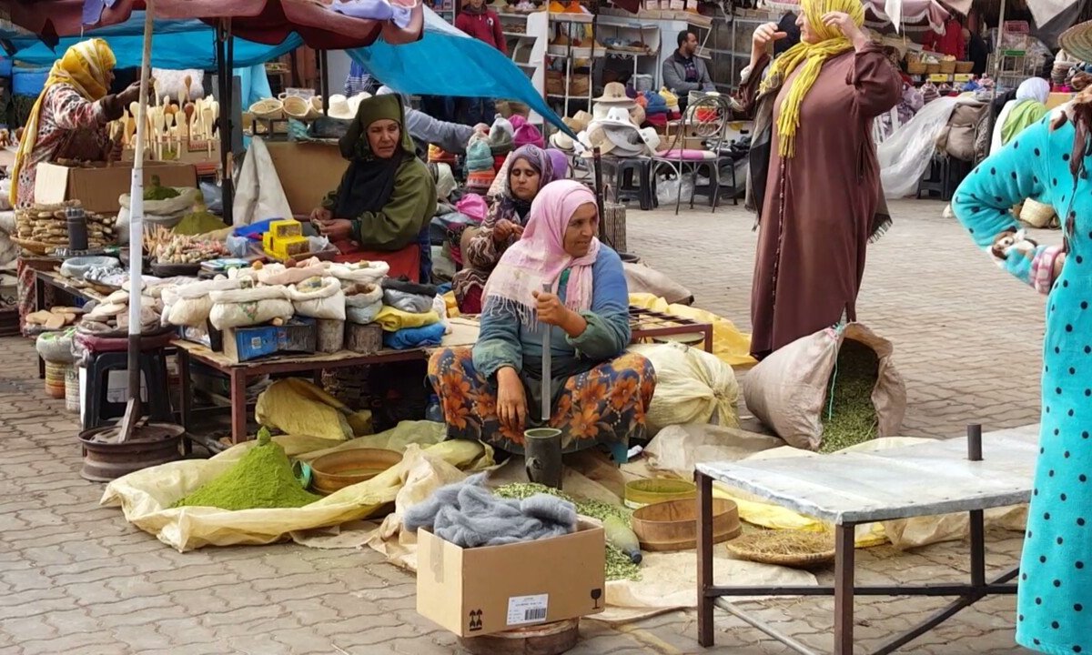 Marrakech Guided Tours - All You Need to Know BEFORE You Go