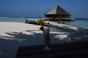 Bebidas