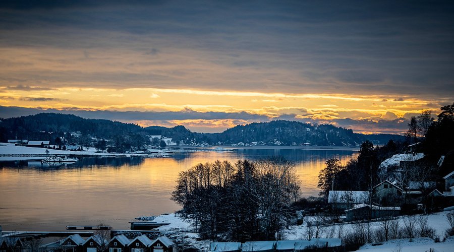 Utsikt over fjorden.