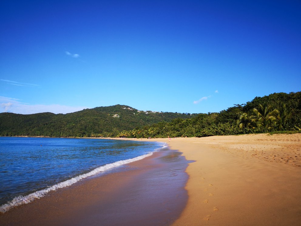 Plage de Grande Anse All You Need to Know BEFORE You Go with