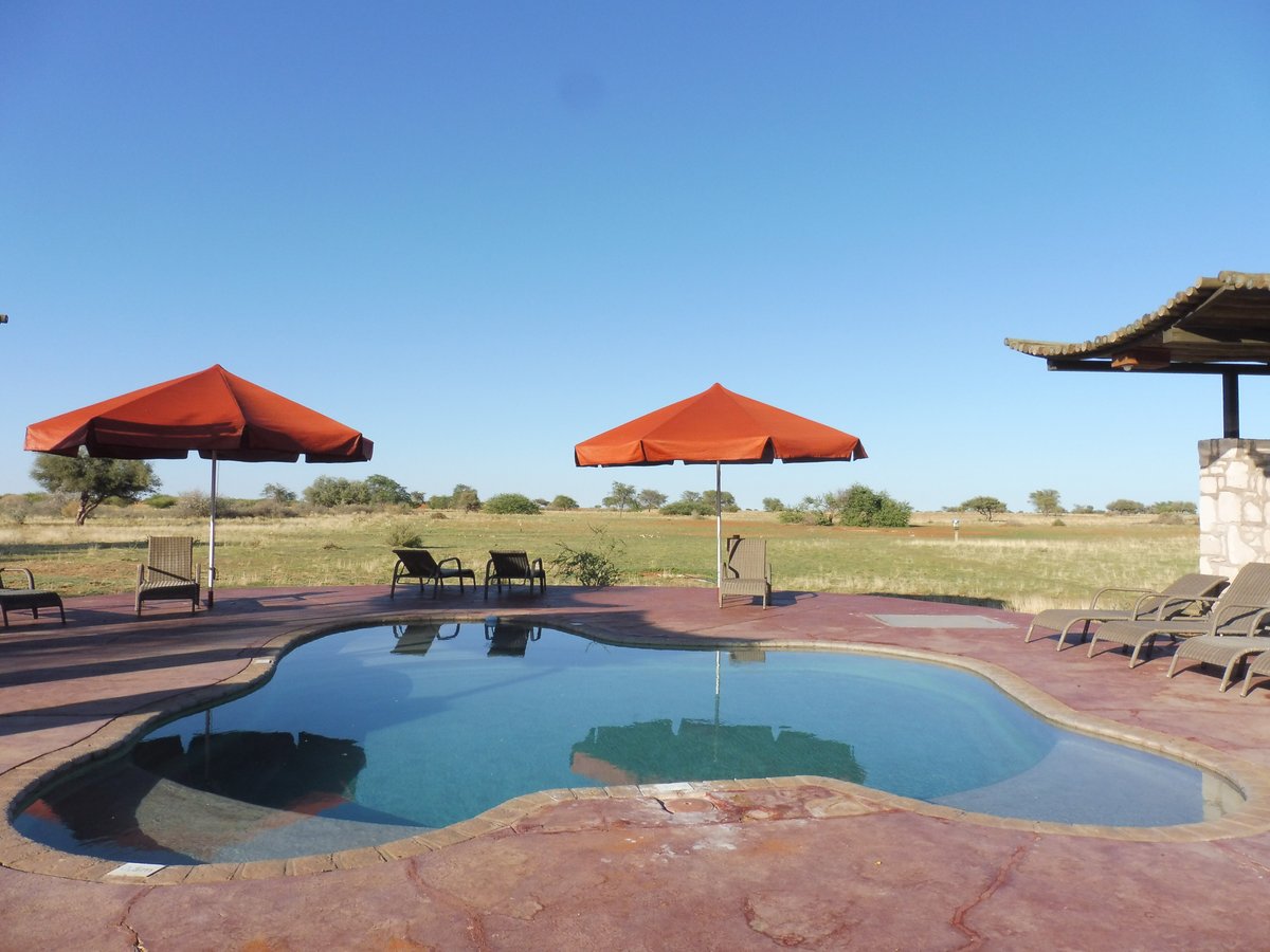 Kalahari Anib Lodge Pool Pictures & Reviews - Tripadvisor