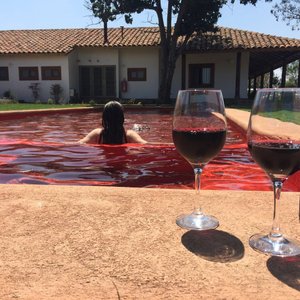Piscina del Hotel, en sincronía con nuestro valle Ruta del vino. 