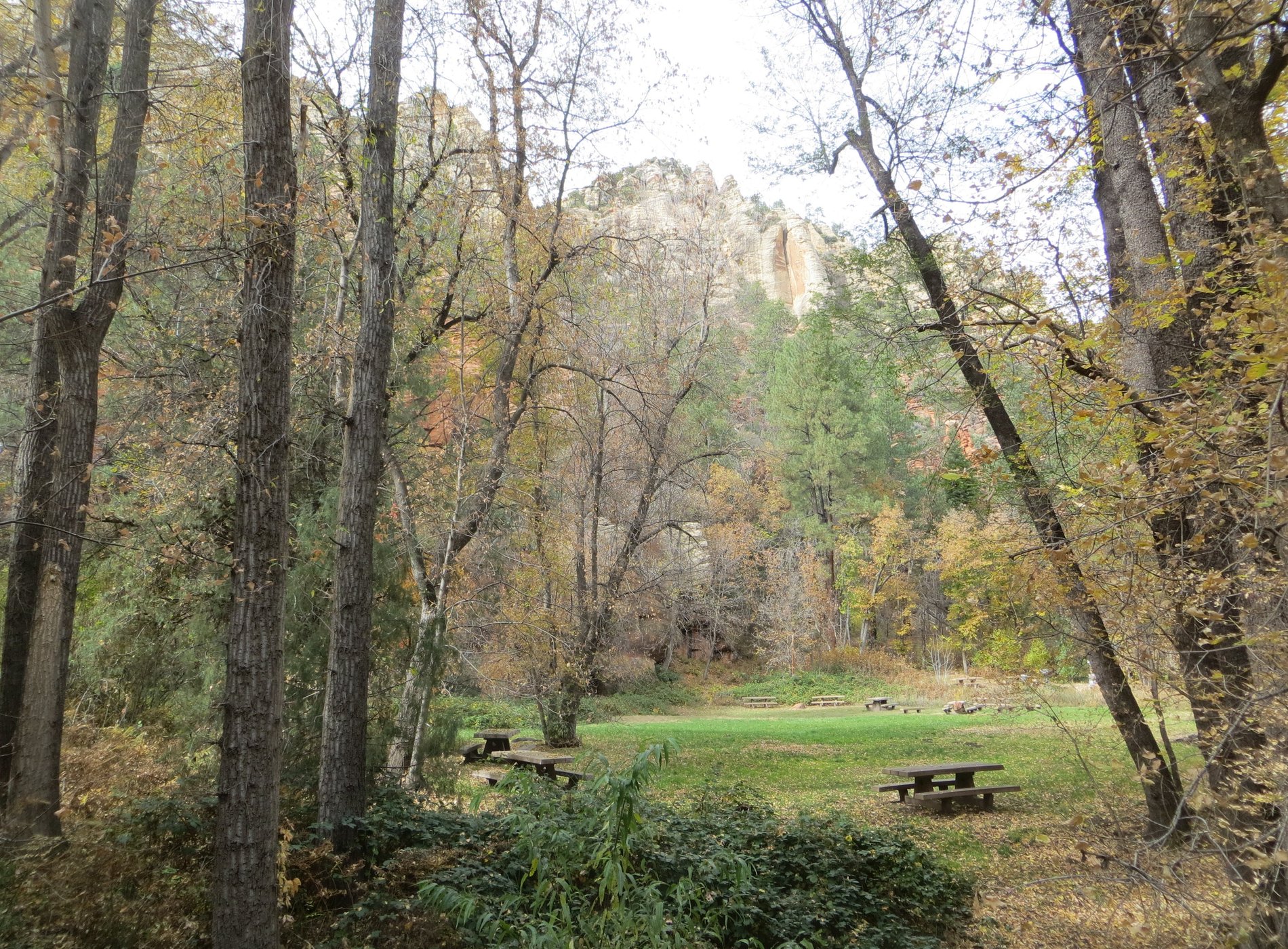 Cave Springs Campground by null