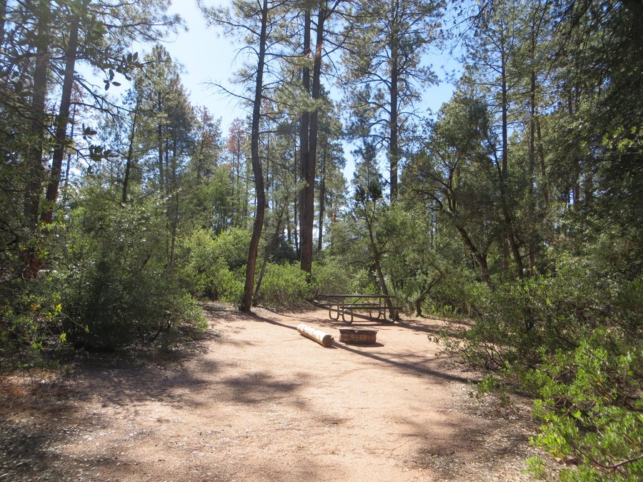 Escape to the Desert Oasis: Arizona's Houston Mesa Campground