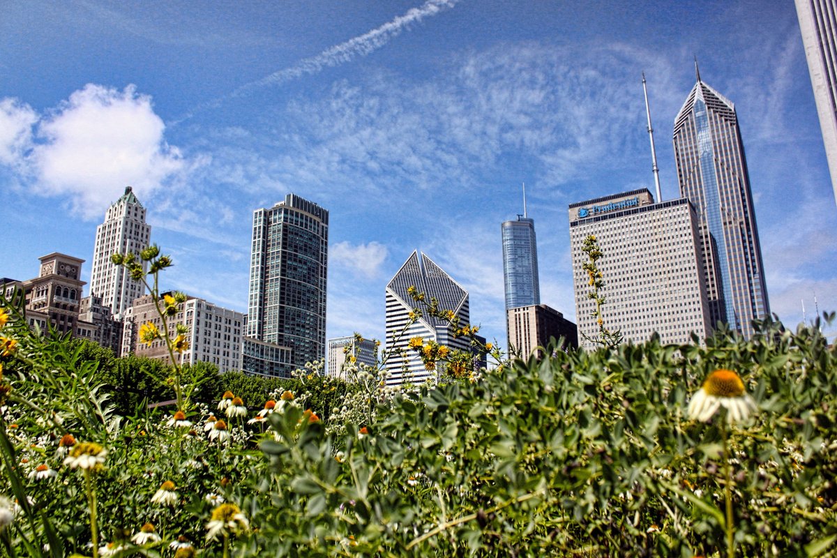 Lurie Garden Of Millennium Park | Fasci Garden