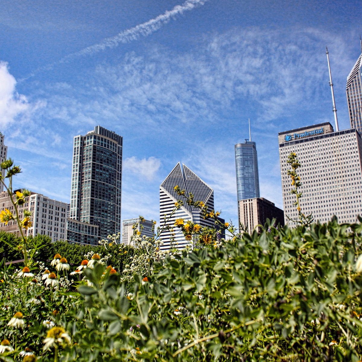 Lurie Garden 芝加哥 旅游景点点评 Tripadvisor